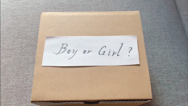 ジェンダーリビール